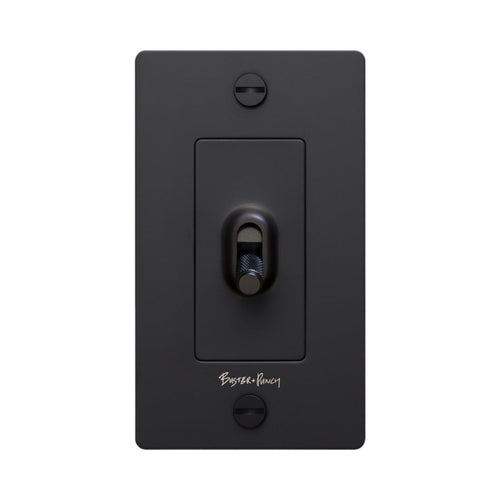 1G Toggle Switch.