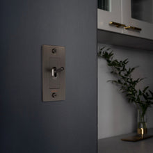Load image into Gallery viewer, 1G Toggle Switch in Detail.
