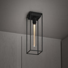 Load image into Gallery viewer, Caged Flush Mount Ceiling Light in Black (Large).
