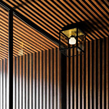 Load image into Gallery viewer, Caged Outdoor Flush Mount Ceiling Light in Detail.
