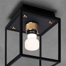 Load image into Gallery viewer, Caged Outdoor Flush Mount Ceiling Light in Detail.
