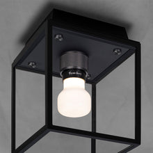 Load image into Gallery viewer, Caged Outdoor Flush Mount Ceiling Light in Detail.
