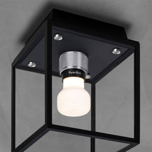 Load image into Gallery viewer, Caged Outdoor Flush Mount Ceiling Light in Detail.

