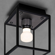 Load image into Gallery viewer, Caged Outdoor Flush Mount Ceiling Light in Detail.
