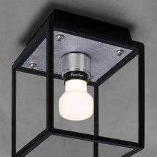 Load image into Gallery viewer, Caged Outdoor Flush Mount Ceiling Light in Detail.
