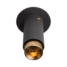 Load image into Gallery viewer, Exhaust Surface Spot Light in Graphite/Brass (Cross).
