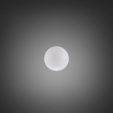 Load image into Gallery viewer, Forked Globe in Detail.
