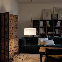 Load image into Gallery viewer, Totora Floor Lamp in living room.
