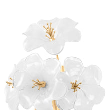 Load image into Gallery viewer, Hygea Wall Light in Detail.
