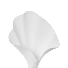 Load image into Gallery viewer, Nolita Wall Light in Detail.
