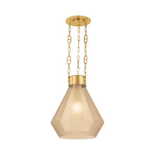 Load image into Gallery viewer, Tragus Pendant Light (19-Inch).
