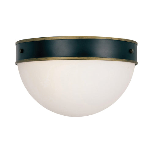 Capsule Outdoor Flush Mount Ceiling Light.
