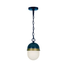 Load image into Gallery viewer, Capsule Outdoor Pendant Light (Large).
