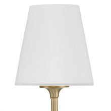 Load image into Gallery viewer, Sylvan Bath Wall Light in Detail.
