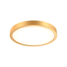 Load image into Gallery viewer, Delta Round Indoor/Outdoor LED Flush Mount Ceiling Light in Gold (Medium).
