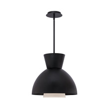 Load image into Gallery viewer, Carafe LED Pendant Light.
