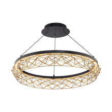 Load image into Gallery viewer, Lacey Round LED Pendant Light in Detail.
