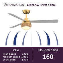 Load image into Gallery viewer, Paget Indoor / Outdoor LED Ceiling Fan in Detail.

