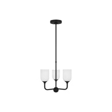 Load image into Gallery viewer, Emile Chandelier in Midnight Black (Small/Not Included).
