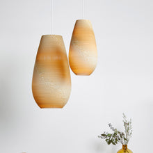 Load image into Gallery viewer, Drop Pendant Light in room.
