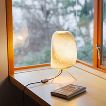 Load image into Gallery viewer, Ebey Table Lamp in living room.
