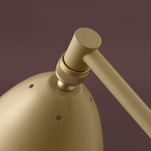 Load image into Gallery viewer, Gräshoppa Floor Lamp in Detail.
