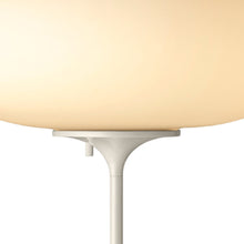 Load image into Gallery viewer, Stemlite Floor Lamp in Detail.
