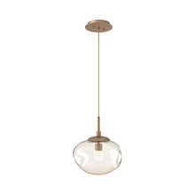 Load image into Gallery viewer, Nova LED Pendant Light in Novel Brass/Amber/Floret Crystal.

