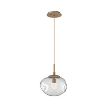 Load image into Gallery viewer, Nova LED Pendant Light in Novel Brass/Clear/Floret Crystal.
