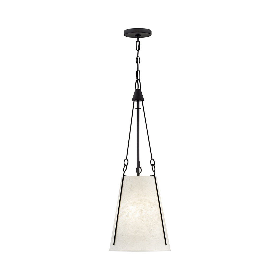 Danvers Pendant Light in Black.