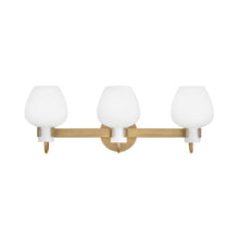 Load image into Gallery viewer, Sylvie Bath Vanity Light in Heritage Brass (Medium).
