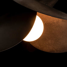Load image into Gallery viewer, Hibiscus Pendant Light in Detail.
