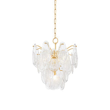 Load image into Gallery viewer, Darcia Chandelier (5-Light).
