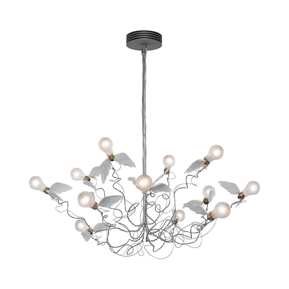Birdie Pendant Light in Transparent.