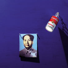Load image into Gallery viewer, Canned Light Pendant Light in Detail.
