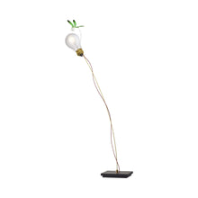 Load image into Gallery viewer, I Ricchi Poveri Bzzzz Table Lamp in Green.
