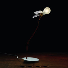Load image into Gallery viewer, Lucellino Table Lamp in Detail.
