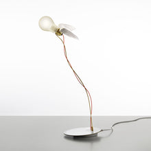 Load image into Gallery viewer, Lucellino Table Lamp in Detail.
