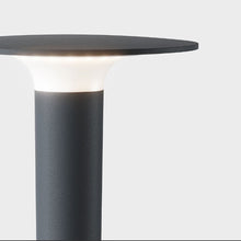 Load image into Gallery viewer, Lix Spike LED Solar Join Path Light in Detail.
