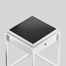 Load image into Gallery viewer, Qua Outdoor LED Solar Portable Table Lamp in Detail.
