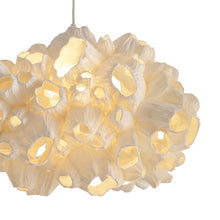 Load image into Gallery viewer, Barnacle Pendant Light in Detail.
