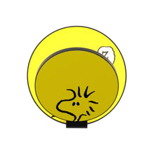 Load image into Gallery viewer, Peanuts Gravy LED Wall Light in Metallic Black (Woodstock).
