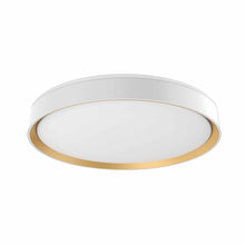 Load image into Gallery viewer, Essex LED Flush Mount Ceiling Light - Take Me Home
