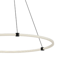 Load image into Gallery viewer, Bruni LED Pendant Light in Detail.
