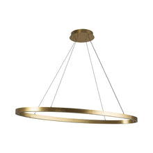 Load image into Gallery viewer, Ovale LED Linear Pendant Light in Detail.
