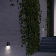 Load image into Gallery viewer, Roto Outdoor LED Step Light in Outside Area.
