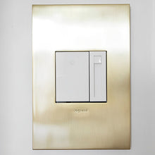 Load image into Gallery viewer, Adorne Paddle Dimmer in Detail.
