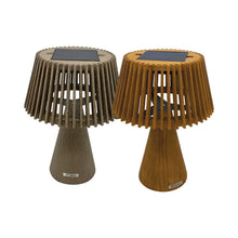 Load image into Gallery viewer, Enoki Outdoor Solar LED Table Lamp in Detail.
