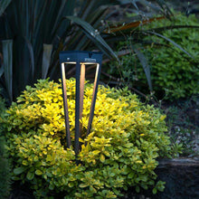 Load image into Gallery viewer, Hawi Outdoor Solar LED Torch Light in Outside Area.
