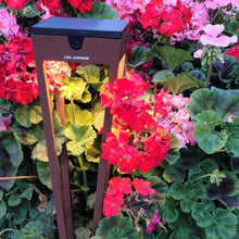 Load image into Gallery viewer, Hawi Outdoor Solar LED Torch Light in Outside Area.
